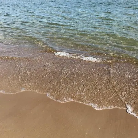 Kamelia * Σόποτ